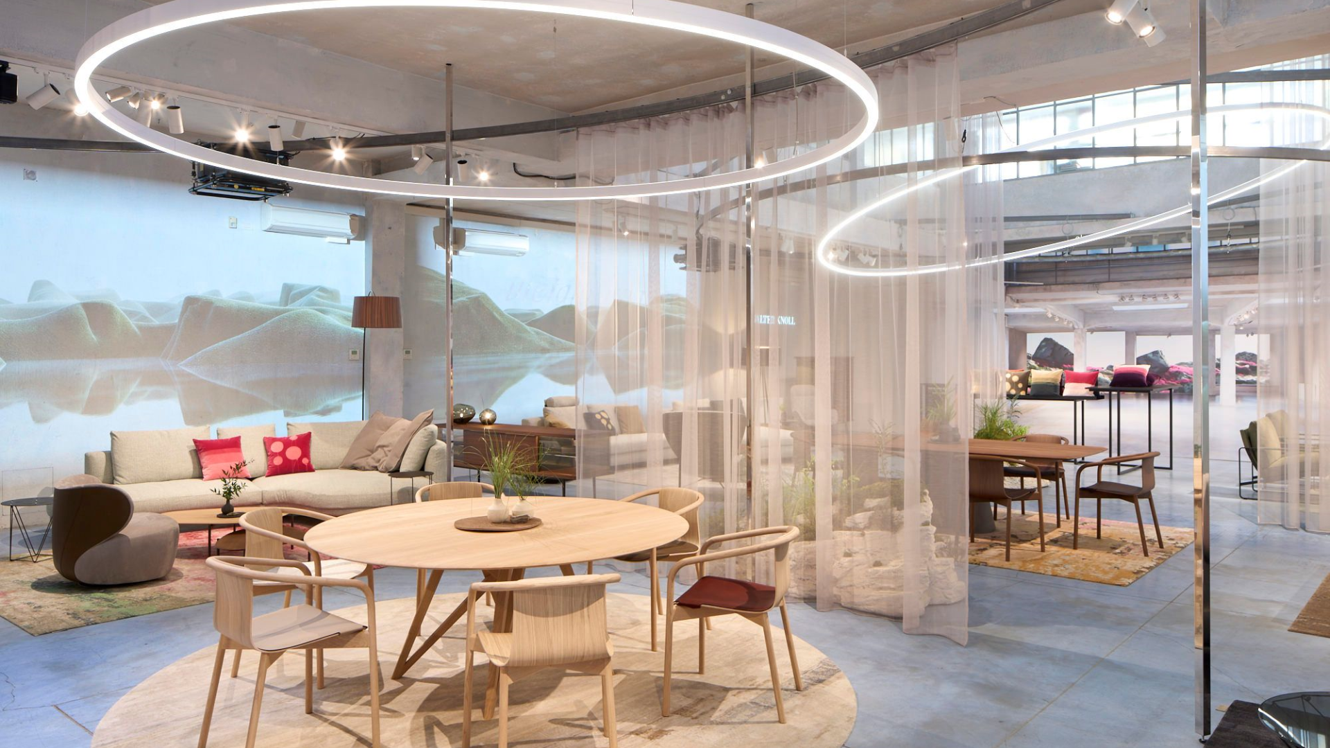  Walter Knoll